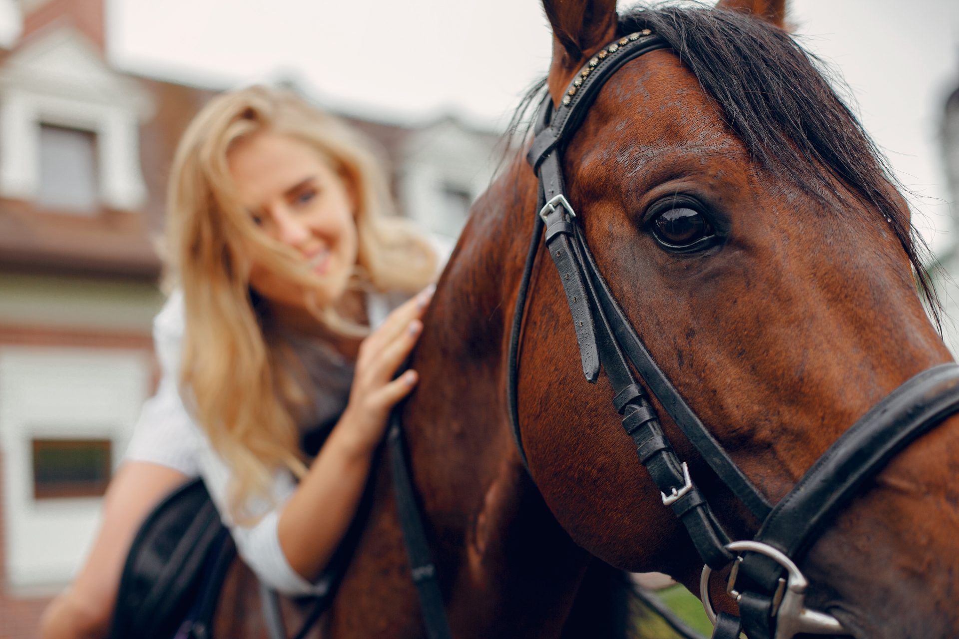 Image of a Woman with a Horse concerning nutrition