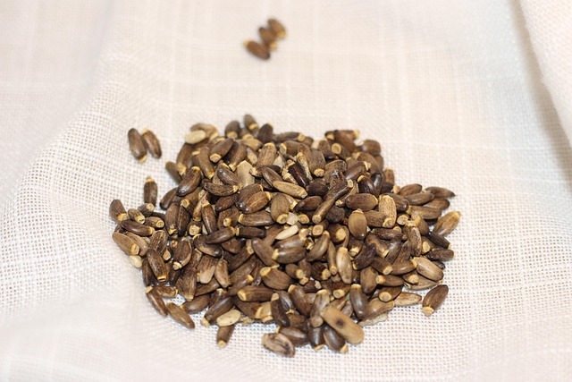 Milk Thistle Seed